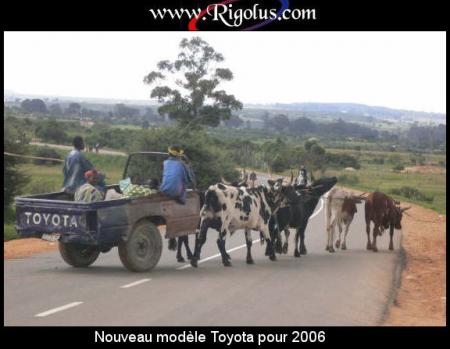 toyota 2010